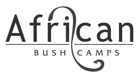 african-bush-camps